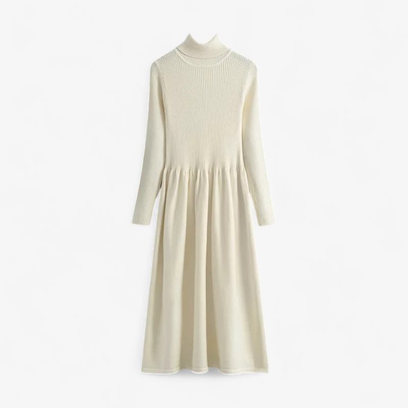 Ribbed Knit Turtleneck A-Line Dress Old Money